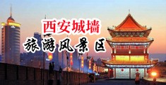 大鸡巴叉咪咪中国陕西-西安城墙旅游风景区