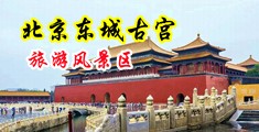 东北老女老泬老熟女中国北京-东城古宫旅游风景区