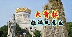 大鸡巴操穴陈春雨中国浙江-绍兴大香林旅游风景区